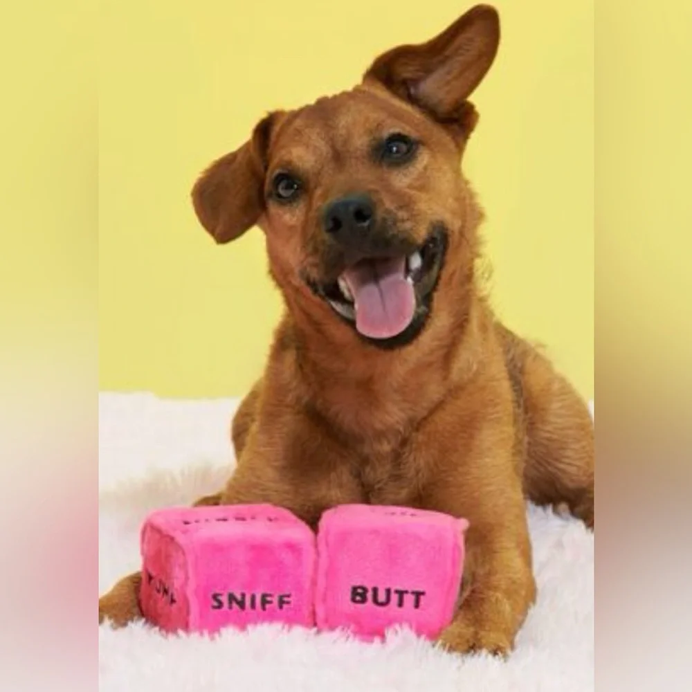 Bark Box After Dark Collection NEW naughty dog dice Dog toys squeak & crinkle